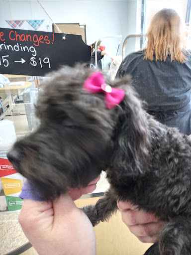 Pet Supply Store «PetSmart», reviews and photos, 3450 N Morrison Rd, Muncie, IN 47304, USA