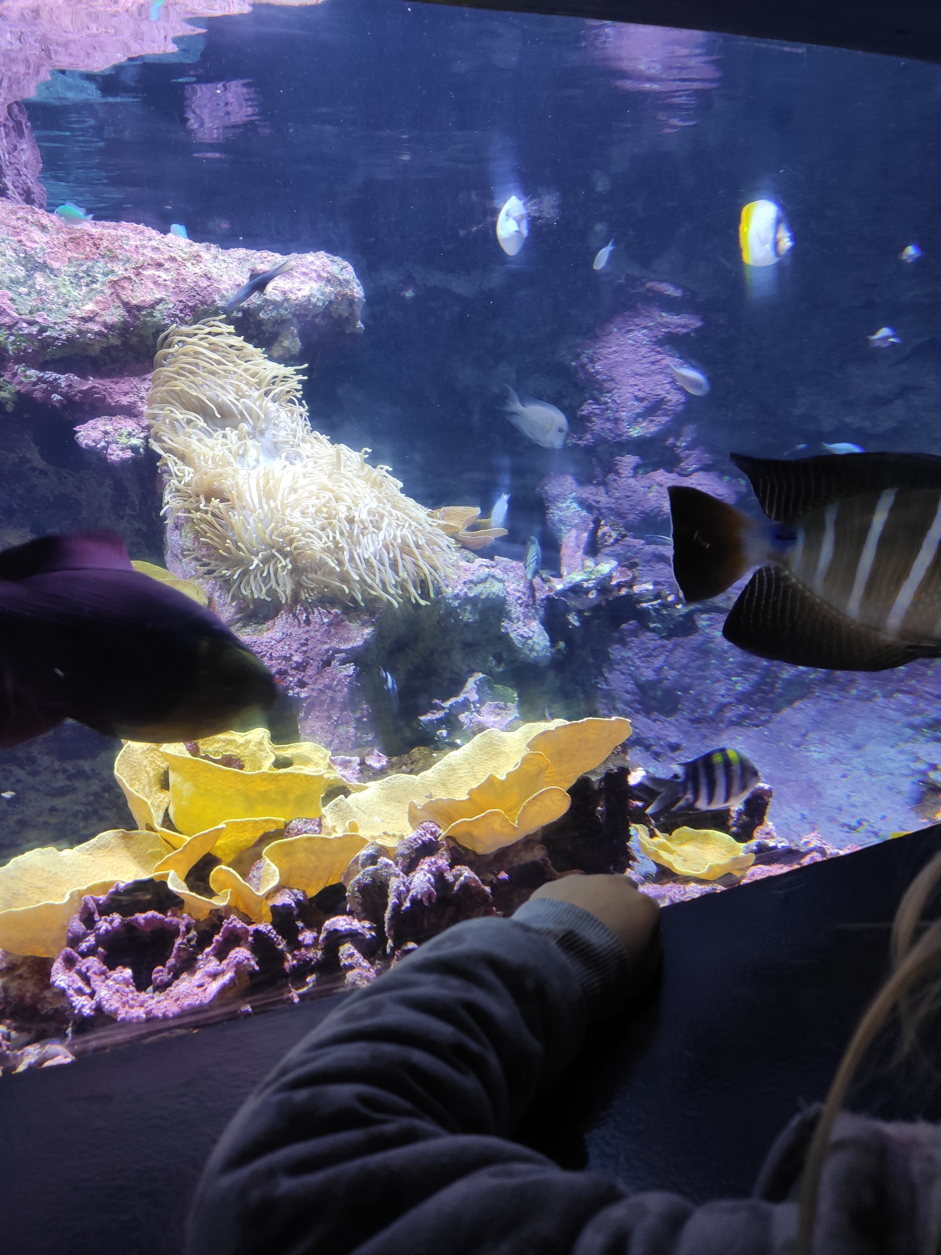 Photo n° 1 de l'avis de Caroline.e fait le 24/04/2023 à 14:17