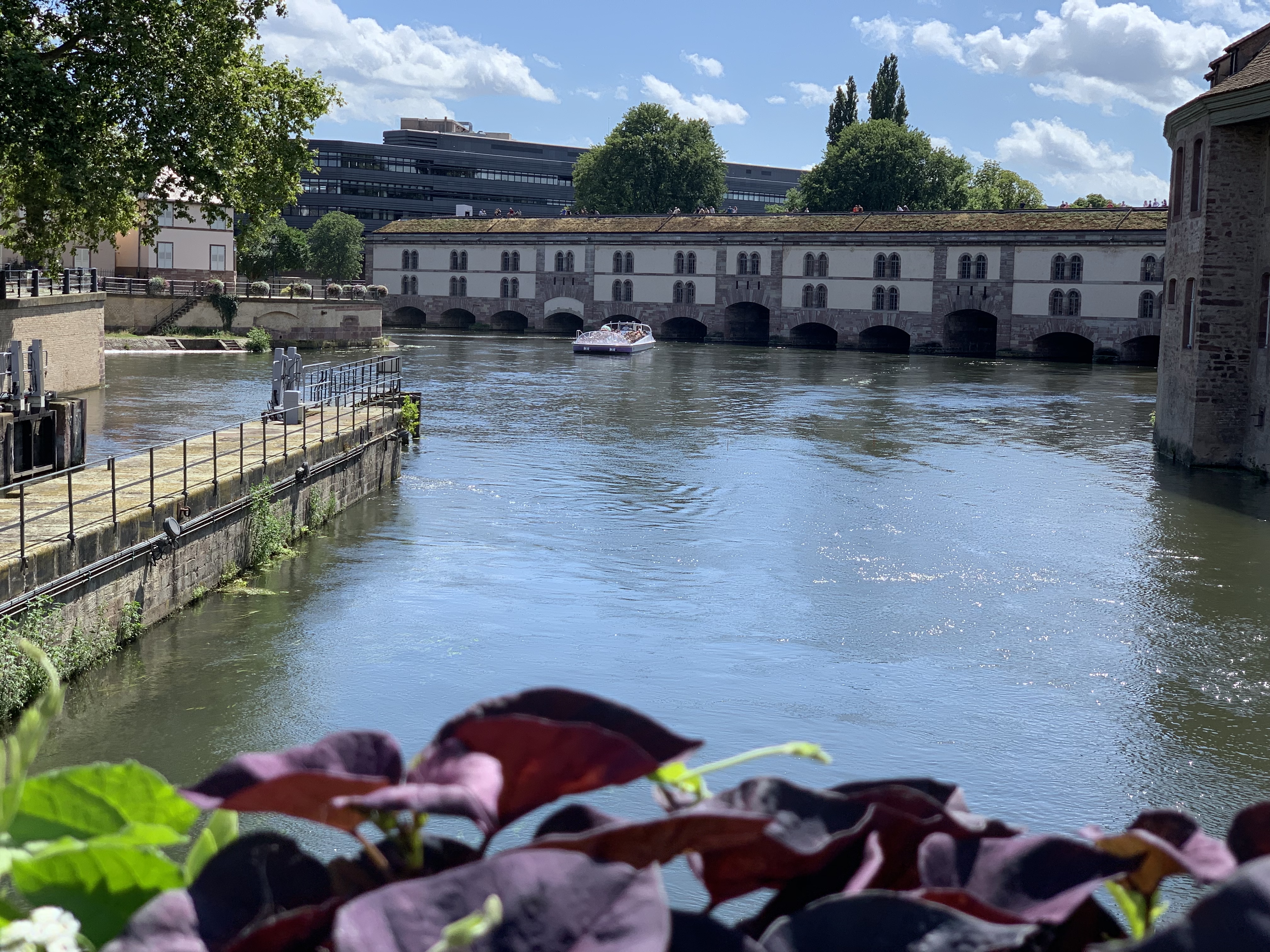 Photo n° 19 de l'avis de Pno.n fait le 03/09/2019 à 16:46