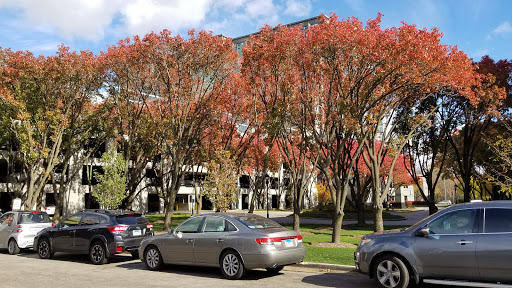 Coffee Shop «Starbucks,», reviews and photos, 9500 W Higgins Rd, Rosemont, IL 60018, USA