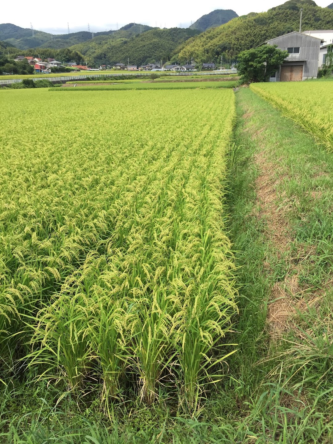 総合緑地建設株