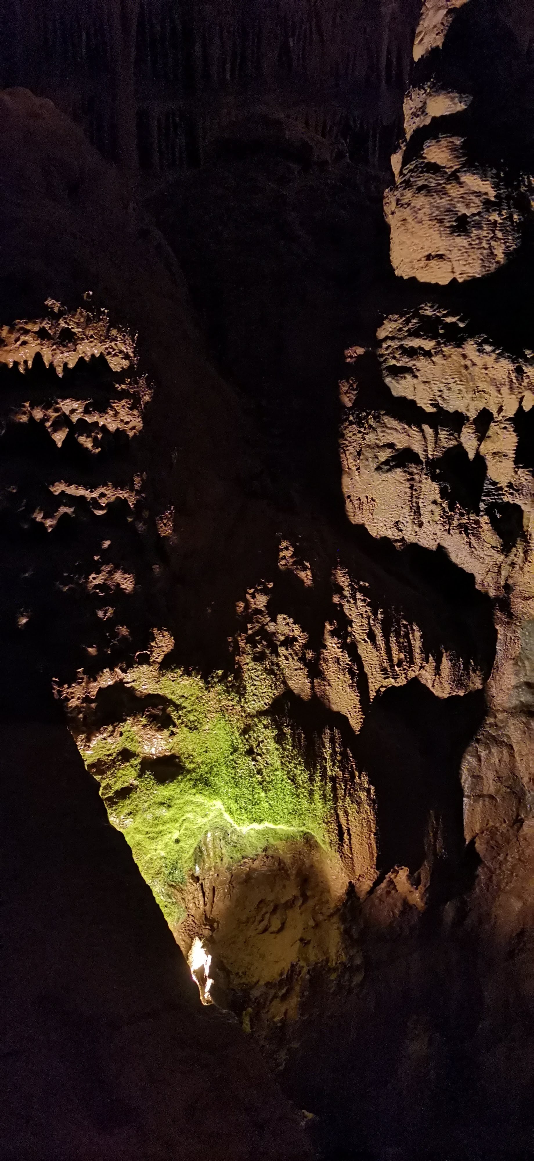 Photo n° 7 de l'avis de François-Régis.E fait le 15/08/2023 à 22:00