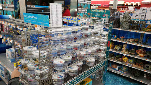 Pet Supply Store «Petco Animal Supplies», reviews and photos, 1333 Centennial Ave, Piscataway Township, NJ 08854, USA