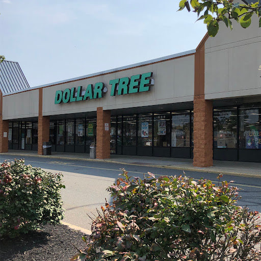 Dollar Store «Dollar Tree», reviews and photos, 5448 Perkiomen Ave, Reading, PA 19606, USA