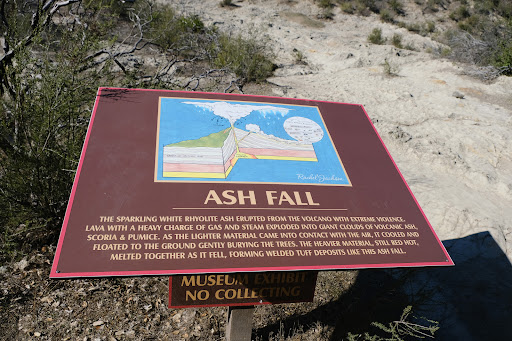 National Forest «Petrified Forest», reviews and photos