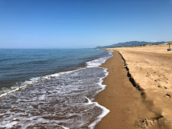 Apollo Camping beach'in fotoğrafı çok temiz temizlik seviyesi ile