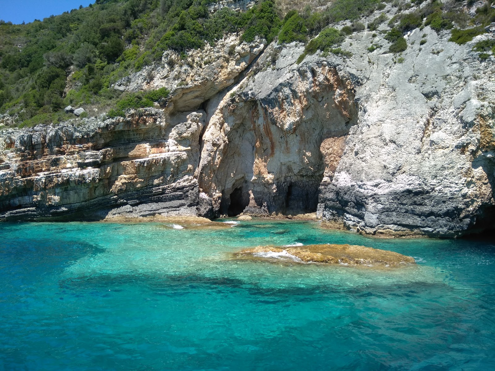 Fotografija Antipaxon Marina z lahki kamenček površino