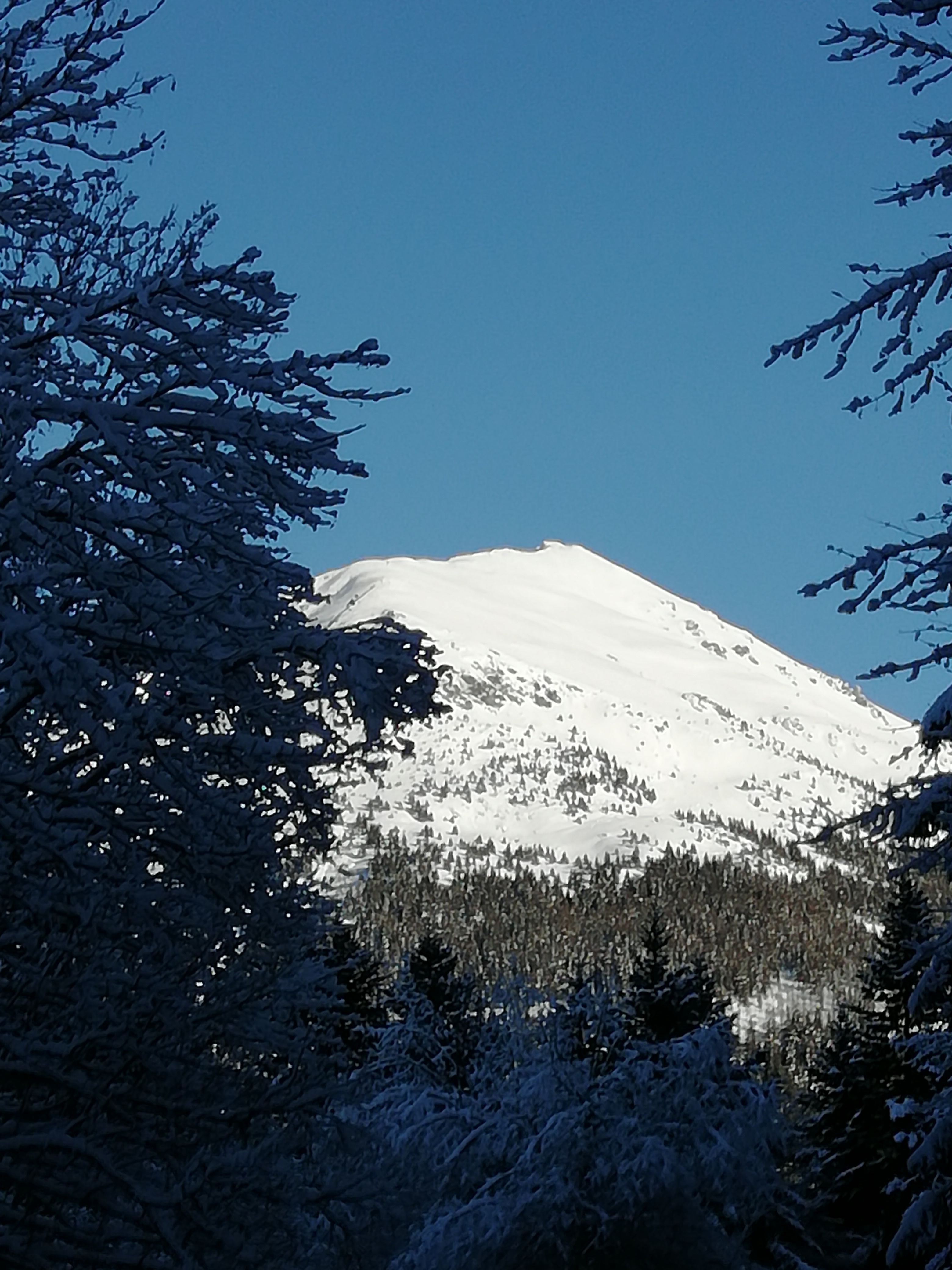 Photo n° 5 de l'avis de Dominique.a fait le 20/01/2021 à 04:19