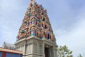 Natrayan Swamy Temple, Vellakovil image