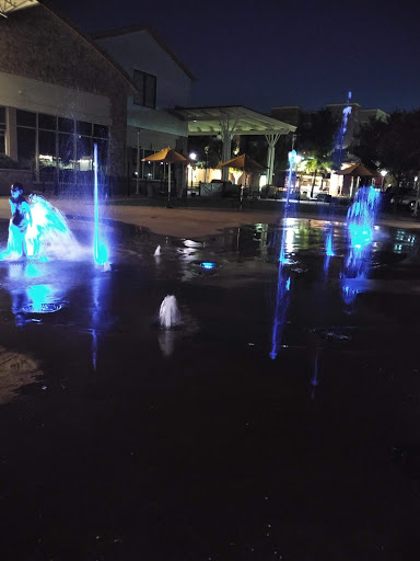 Tourist Attraction «The Village Fountain», reviews and photos, 329 Town Pl, Fairview, TX 75069, USA