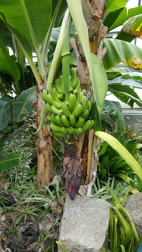 Botanical Garden «Roger Williams Park Botanical Center», reviews and photos, 1000 Elmwood Avenue, Providence, RI 02905, USA