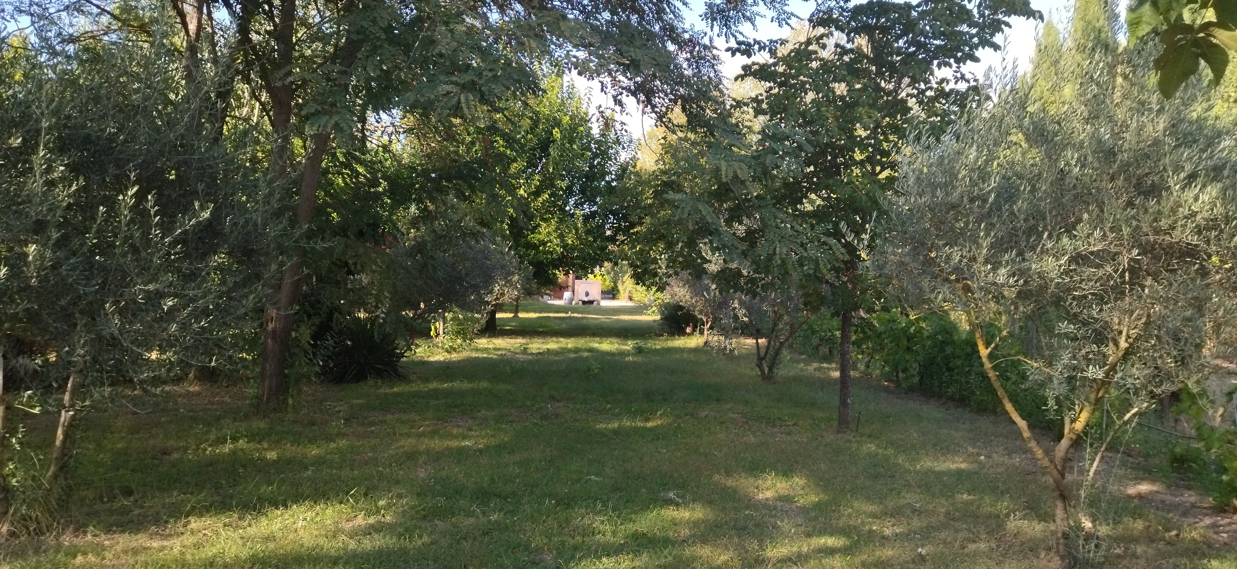 Photo n° 3 de l'avis de Agnes.a fait le 21/03/2023 à 19:06