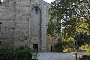 Cathédrale de Maguelone image