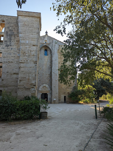 Cathédrale de Maguelone à Villeneuve-lès-Maguelone