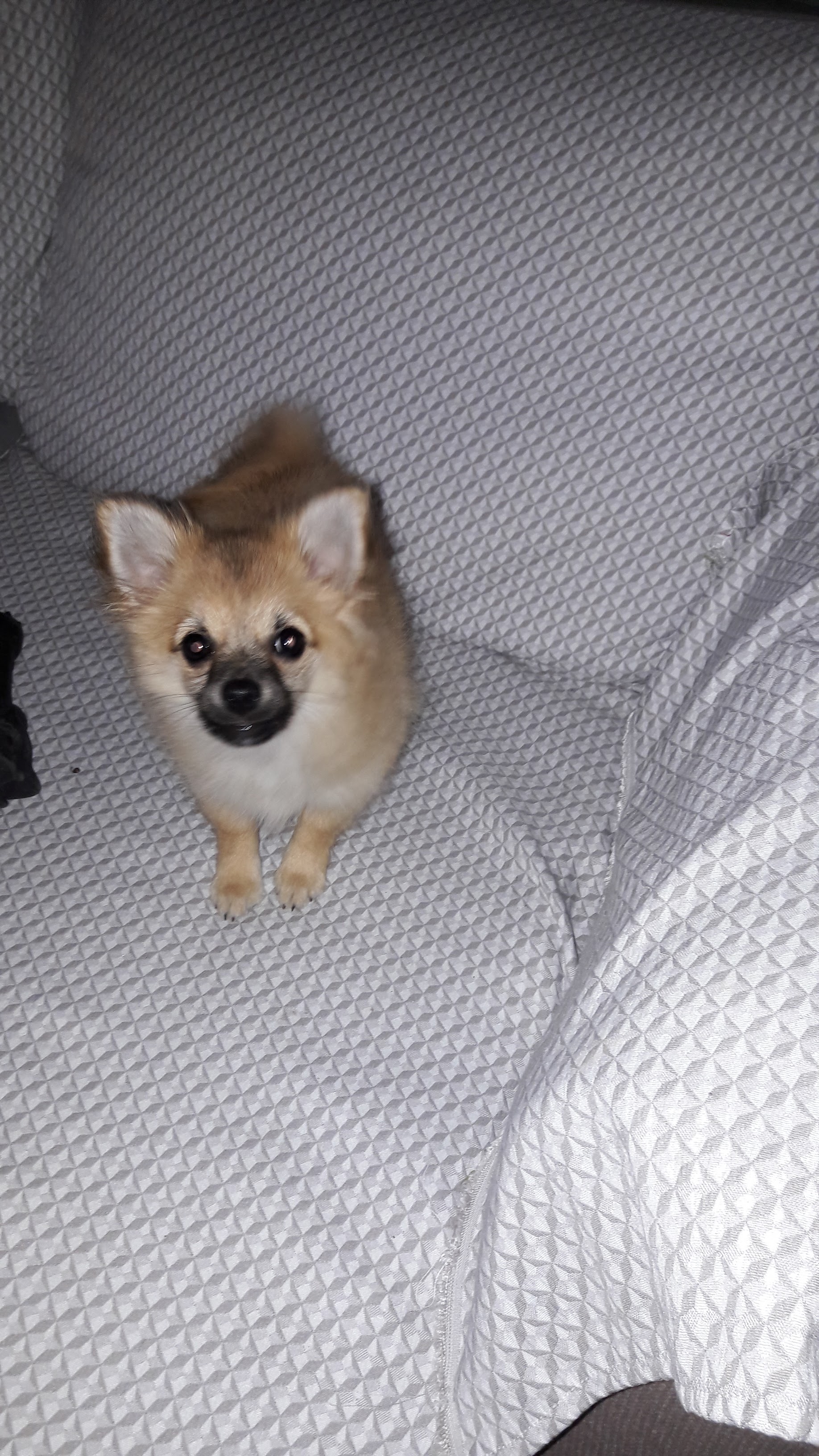 Photo n° 1 de l'avis de Danielle.a fait le 14/11/2020 à 18:50