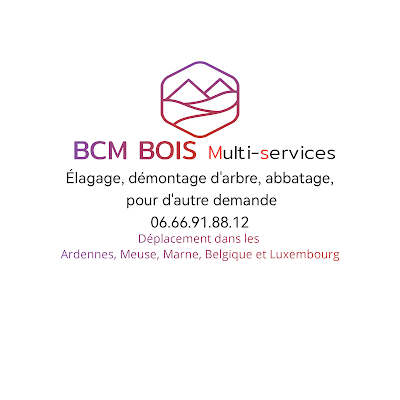 BCM BOIS à Authe