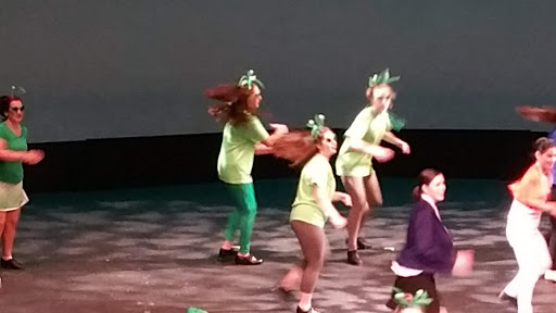 Performing Arts Theater «W E Scott Theatre», reviews and photos, 3505 W Lancaster Ave, Fort Worth, TX 76107, USA