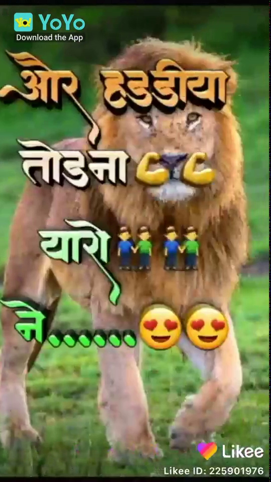 मधुसूदन साहू किराना स्टोर एंड फर्टिलाइजर स्टोर