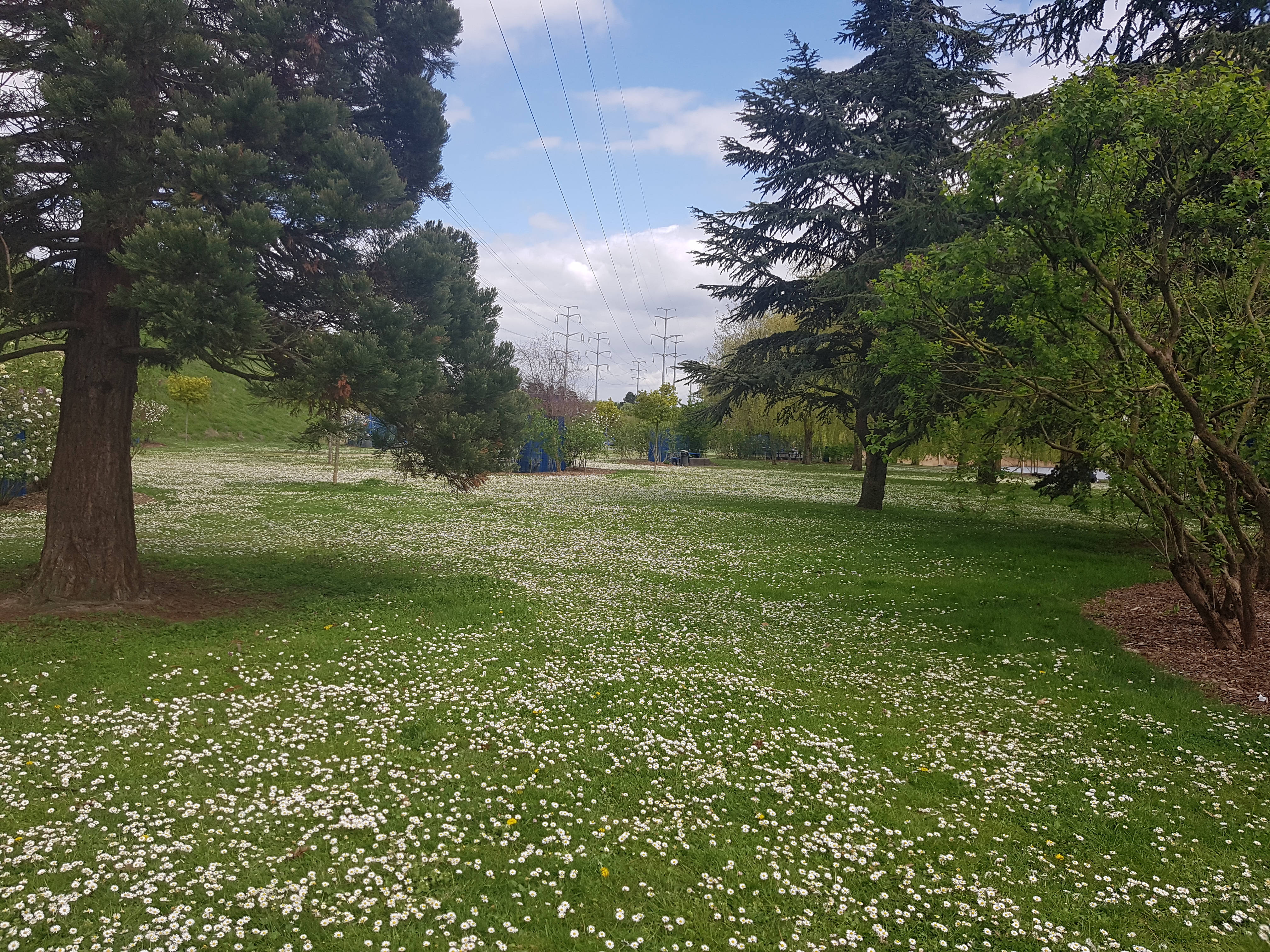 Photo n° 37 de l'avis de Mériame. fait le 16/04/2018 à 15:22