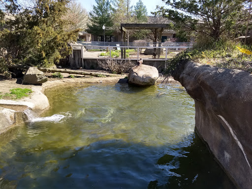 Zoo «Buttonwood Park Zoo», reviews and photos, 425 Hawthorn St, New Bedford, MA 02740, USA