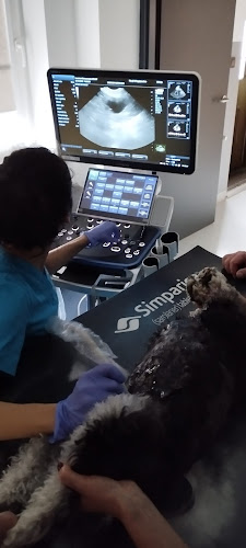 Grunwaldzka 62, 58-506 Jelenia Góra