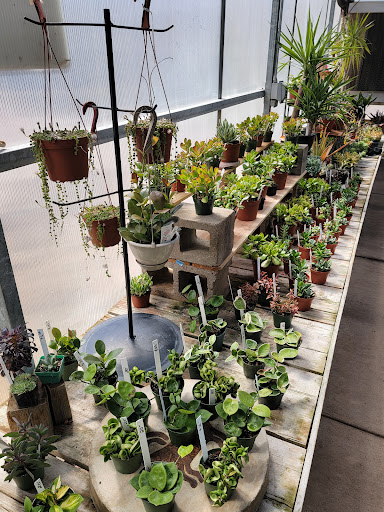 Florist «Platte Floral», reviews and photos, 1417 E Platte Ave, Colorado Springs, CO 80909, USA