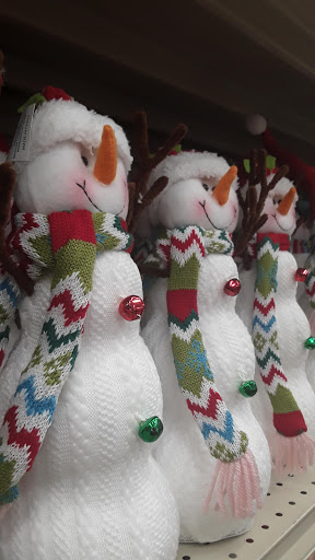 Home Goods Store «Christmas Tree Shops», reviews and photos, 916 Airport Center Rd, Allentown, PA 18109, USA