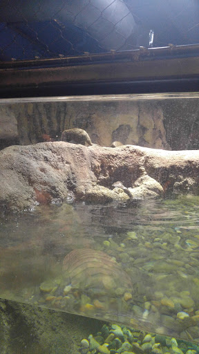 Tourist Attraction «OdySea Mirror Maze», reviews and photos, 9500 East Vía de Ventura #200, Scottsdale, AZ 85256, USA