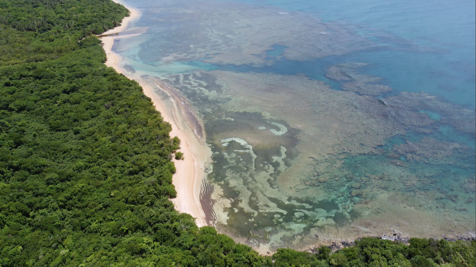 Photo de Playa Escondida situé dans une zone naturelle