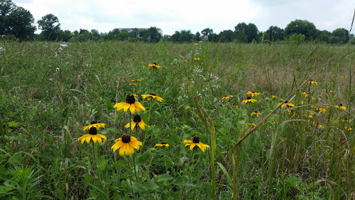 Park «Lower Perkiomen Valley Park», reviews and photos, 101 New Mill Rd, Norristown, PA 19403, USA