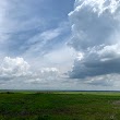 Bolen Bluff Observation Tower