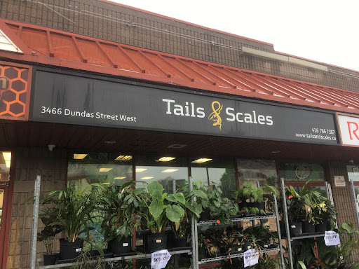 Tails and Scales Pet Boutique