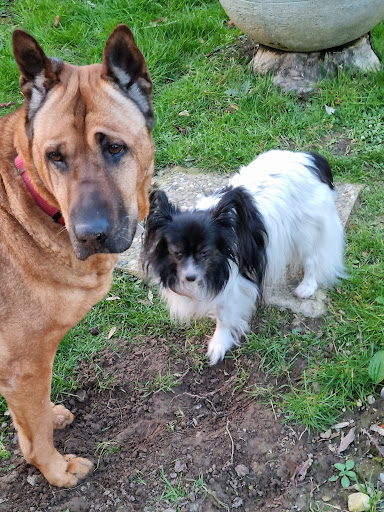 Dr. Dagmar Heer unter Horn-Bad Meinberg, 