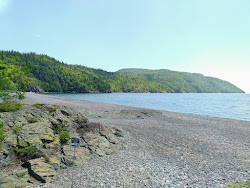Schreiber Beach'in fotoğrafı çok temiz temizlik seviyesi ile