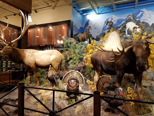 Outdoor Sports Store «Field & Stream», reviews and photos, 10351 Innovation Drive, Miamisburg, OH 45342, USA
