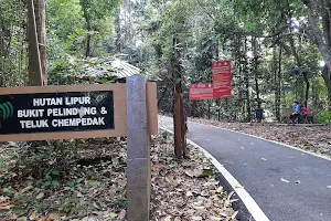 Starting Trail Bukit Pelindung image