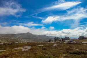 Mt Kosciuszko image