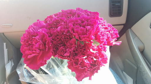 Grocery Store «Albertsons», reviews and photos, 2165 E Buckingham Dr, Richardson, TX 75081, USA