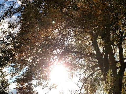 Golf Course «Brighton Park Golf Course», reviews and photos, 70 Brompton Rd, Tonawanda, NY 14150, USA