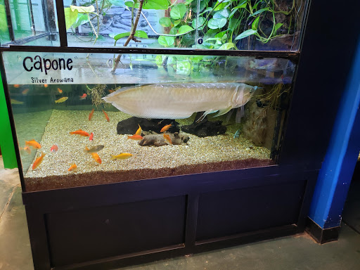 Pet Store «Olathe Pet Shop», reviews and photos, 16651 151st St, Olathe, KS 66062, USA