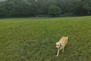 My Dog Field - Cuddington image