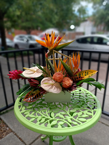 Florist «The Sunflower Florist Inc.», reviews and photos, 1908 Colley Ave, Norfolk, VA 23517, USA