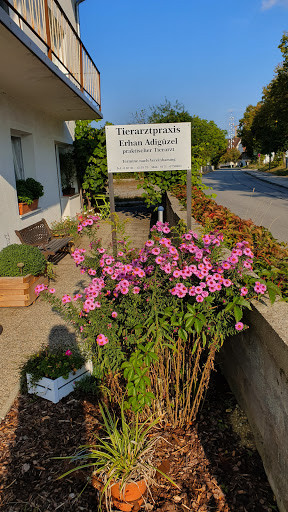 Tierarztpraxis Adigüzel unter Eggenfelden, Bayern