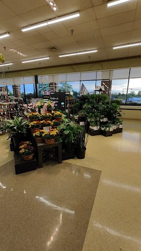 Grocery Store «Weis Markets», reviews and photos, 315 US-206, Hillsborough Township, NJ 08844, USA