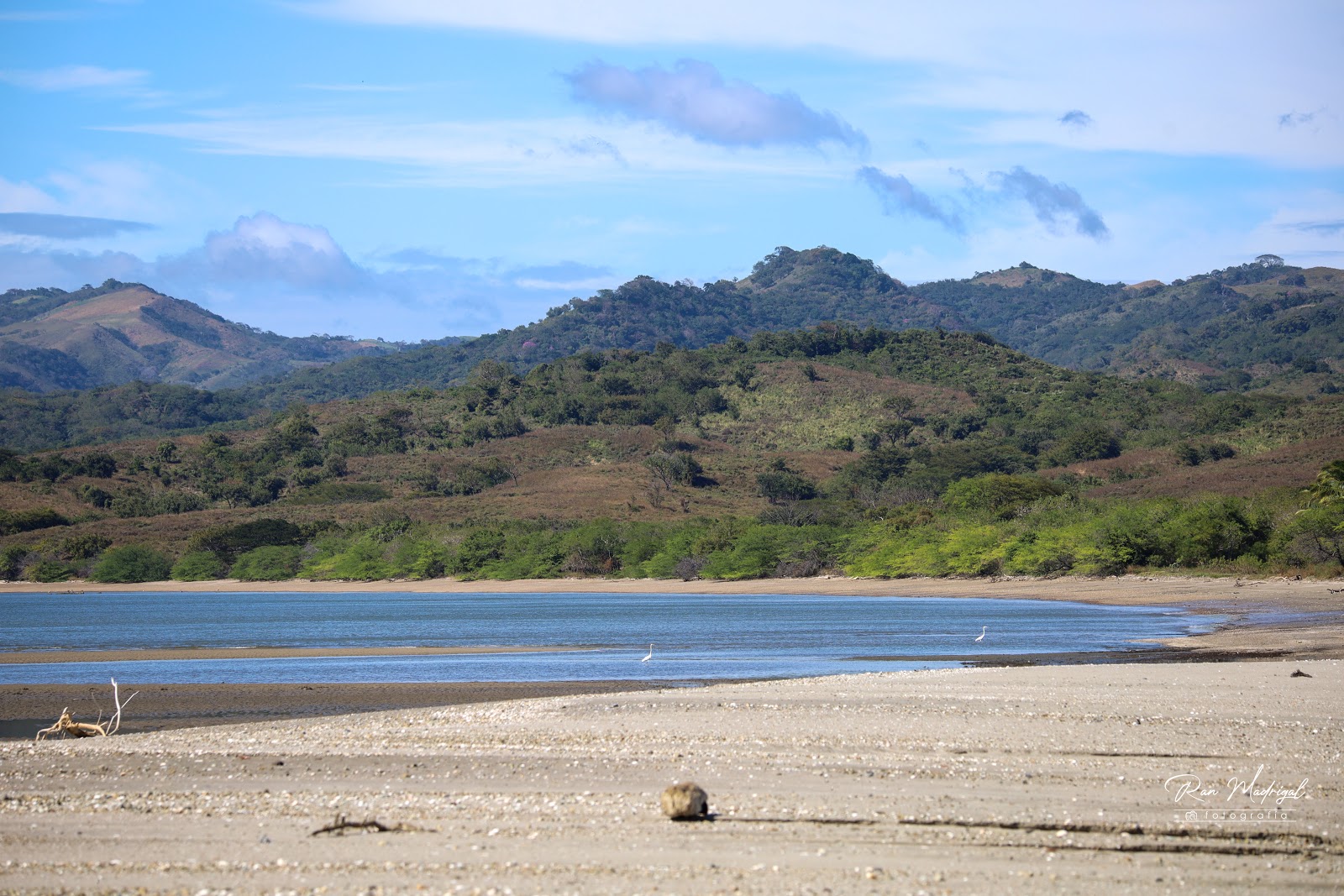 Φωτογραφία του Pochotes beach με τυρκουάζ νερό επιφάνεια