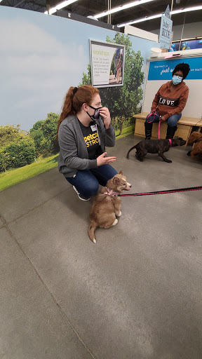 Pet Supply Store «Petco Animal Supplies», reviews and photos, 110 Percival Rd, Columbia, SC 29206, USA