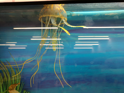 Pet Store «Fins Feathers Paws Claws», reviews and photos, 201 Station Rd, Quakertown, PA 18951, USA