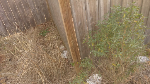 Golf Club «Lake Caroline Golf Club», reviews and photos, 118 Caroline Club Cir, Madison, MS 39110, USA