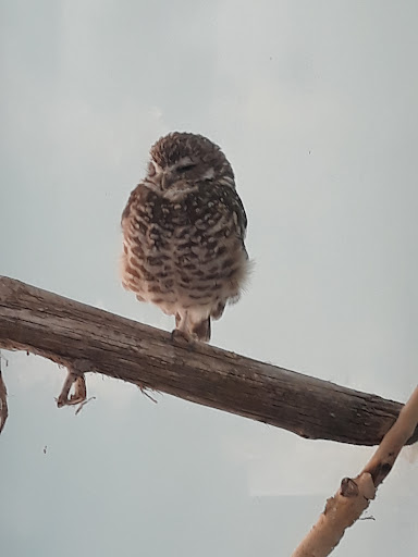 Zoo «Hogle Zoo», reviews and photos, 2600 Sunnyside Ave S, Salt Lake City, UT 84108, USA