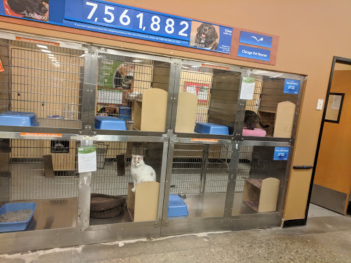 Pet Supply Store «PetSmart», reviews and photos, 5485 Touhy Ave, Skokie, IL 60077, USA